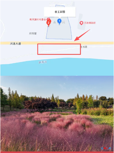 8.png