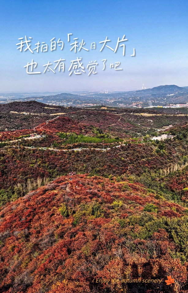 副本_寒露主题海报__2026-10-30+14_32_28.jpg
